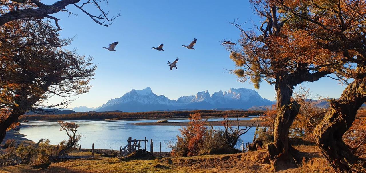 Morrena Lodge Torres del Paine National Park Extérieur photo